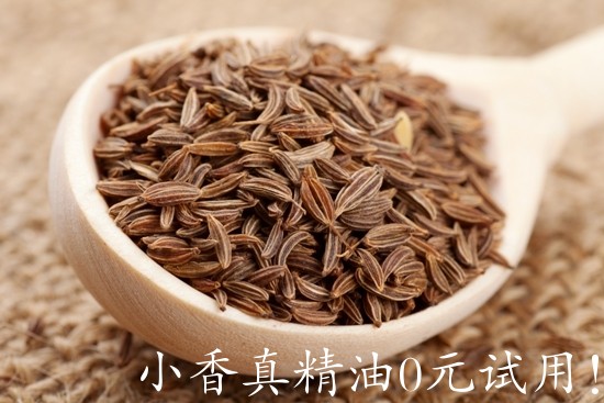 小茴香caraway-Cumin-seeds.jpg