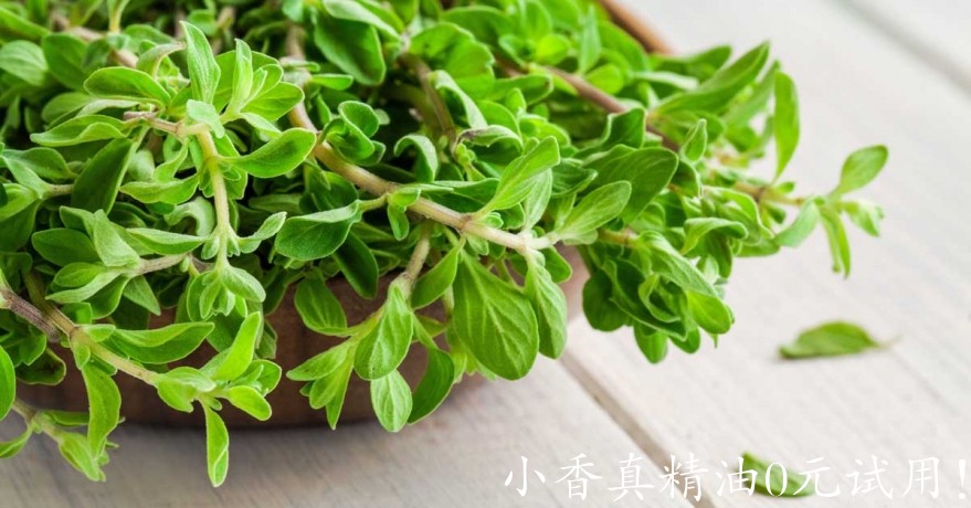 马郁兰marjoram-1200x628-facebook.jpg