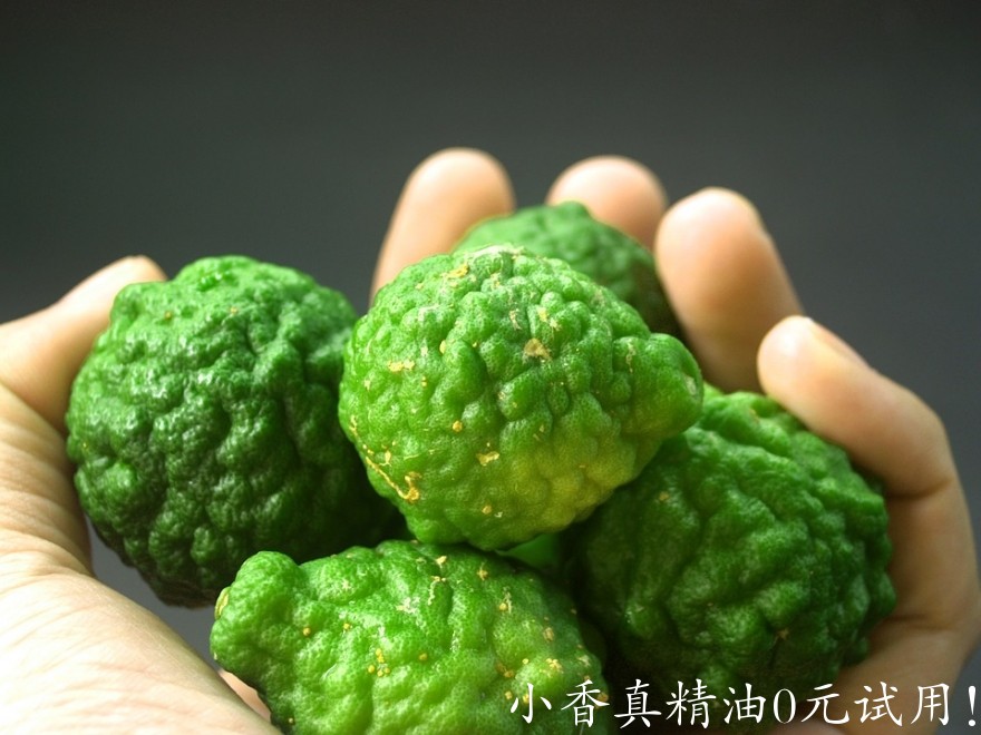 佛手柑bergamot-1554302_960_720 pixabay.com.jpg