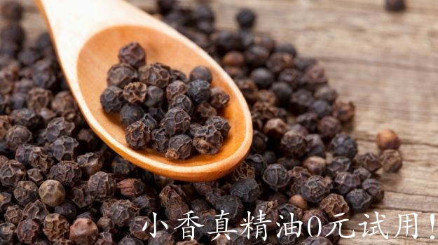 黑胡椒black-pepper_625x350_51446463333.jpg