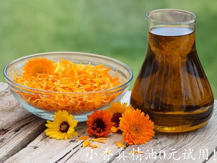 calendulaoil.jpg